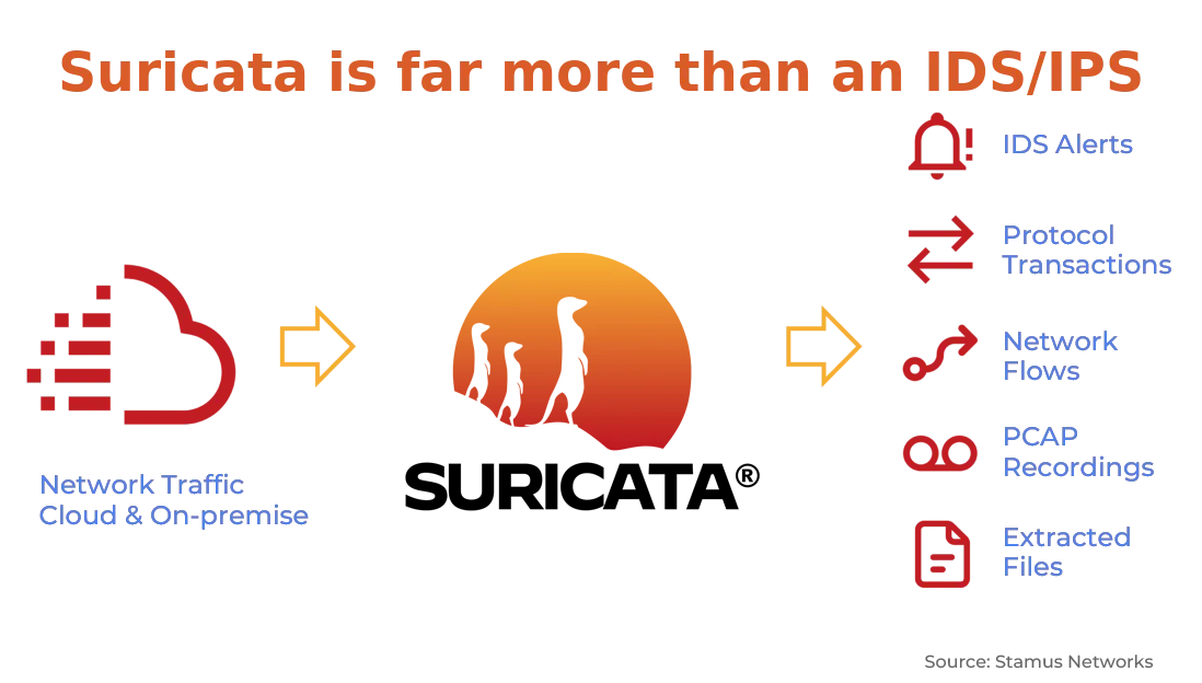 DrayTek Intrusion Detection System using Suricata